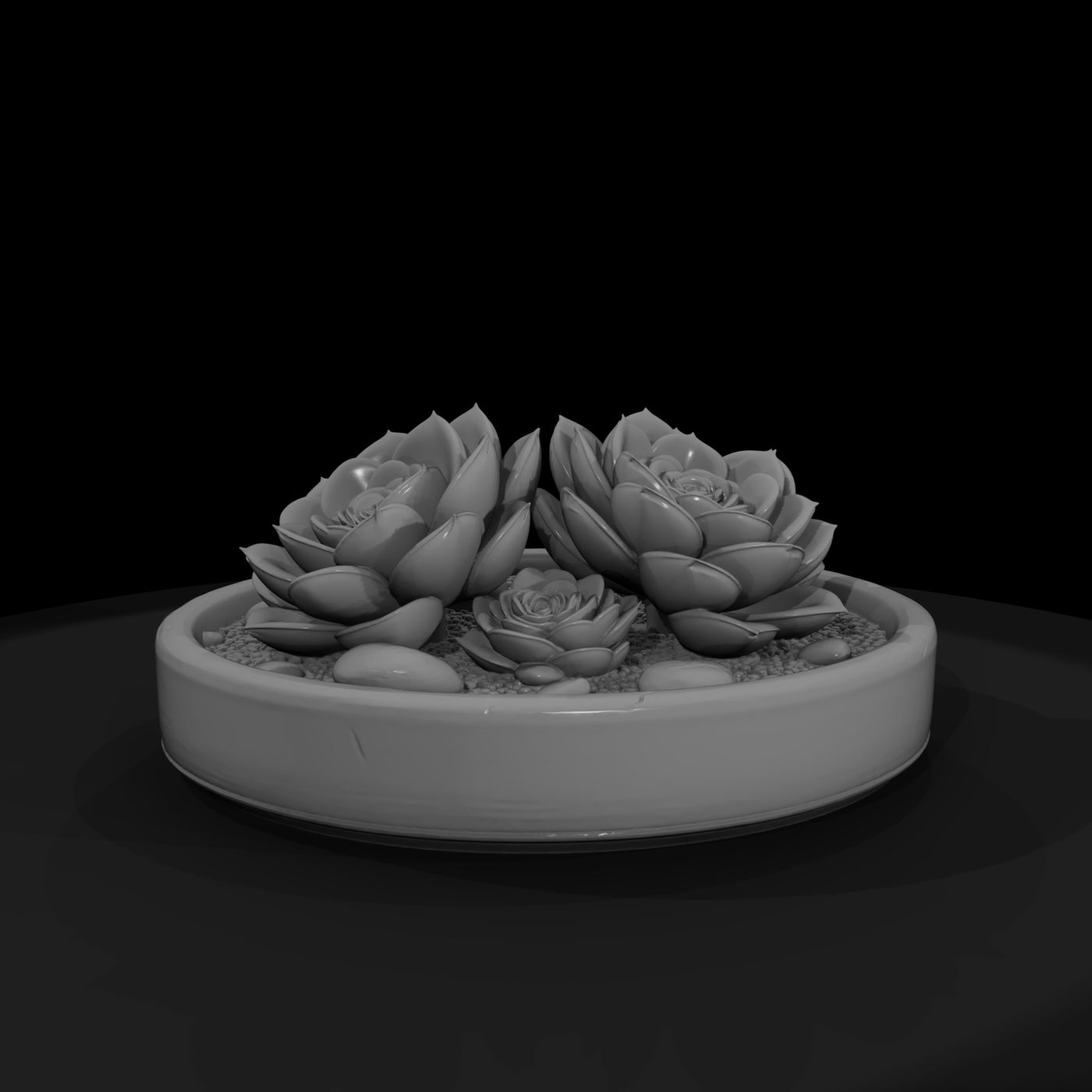 minimalist-monochrome-succulent-zen-garden-3d-printable-miniature-265295