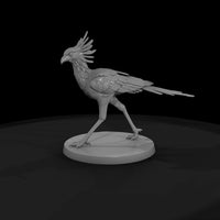 ant-292-secretary-bird-male — thumbnail 4
