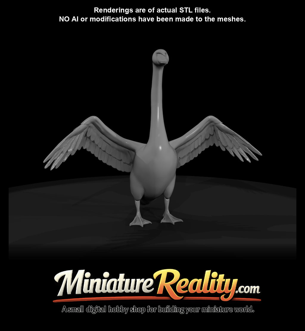 swan-spreading-with-wings-estimated