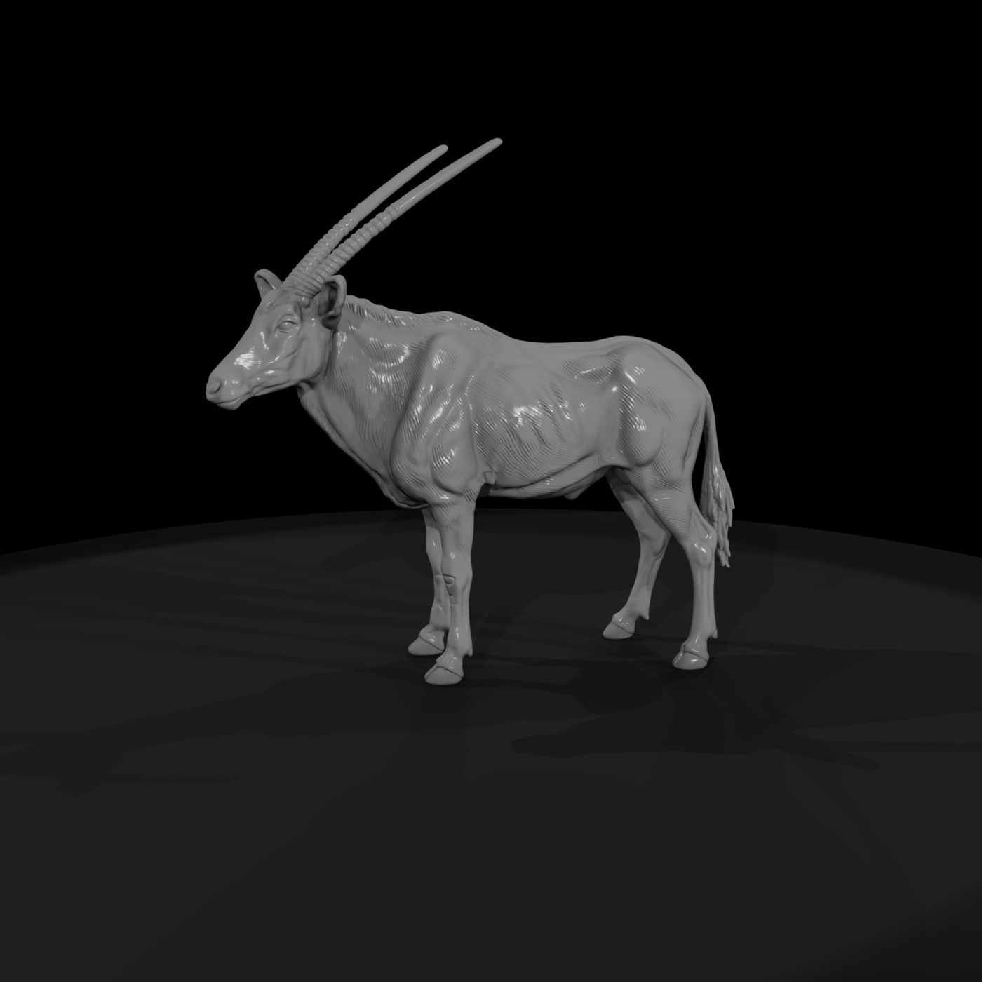 Ant 229 Gemsbok Male