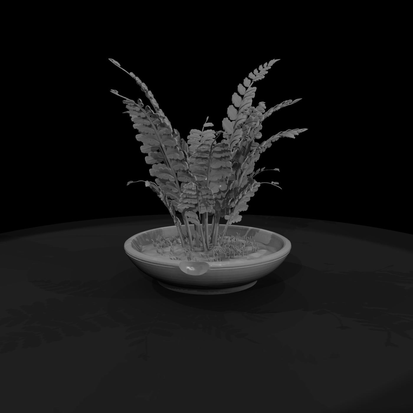 stylized-monochrome-potted-fern-3d-model-1qq57jce