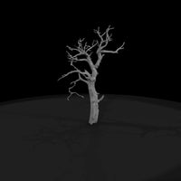 20260612-ancient-gnarled-dead-tree-d8d5631dc7 — thumbnail 5