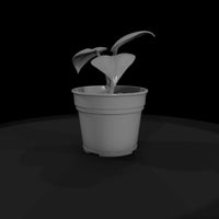 stylized-monochrome-potted-houseplant-3d-model-ak7 — thumbnail 4