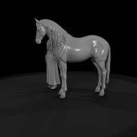 gray-mare — thumbnail 6