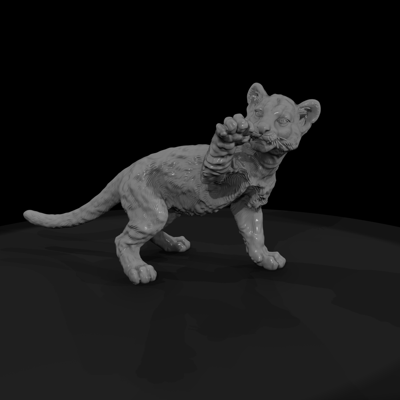 Cougar Cub