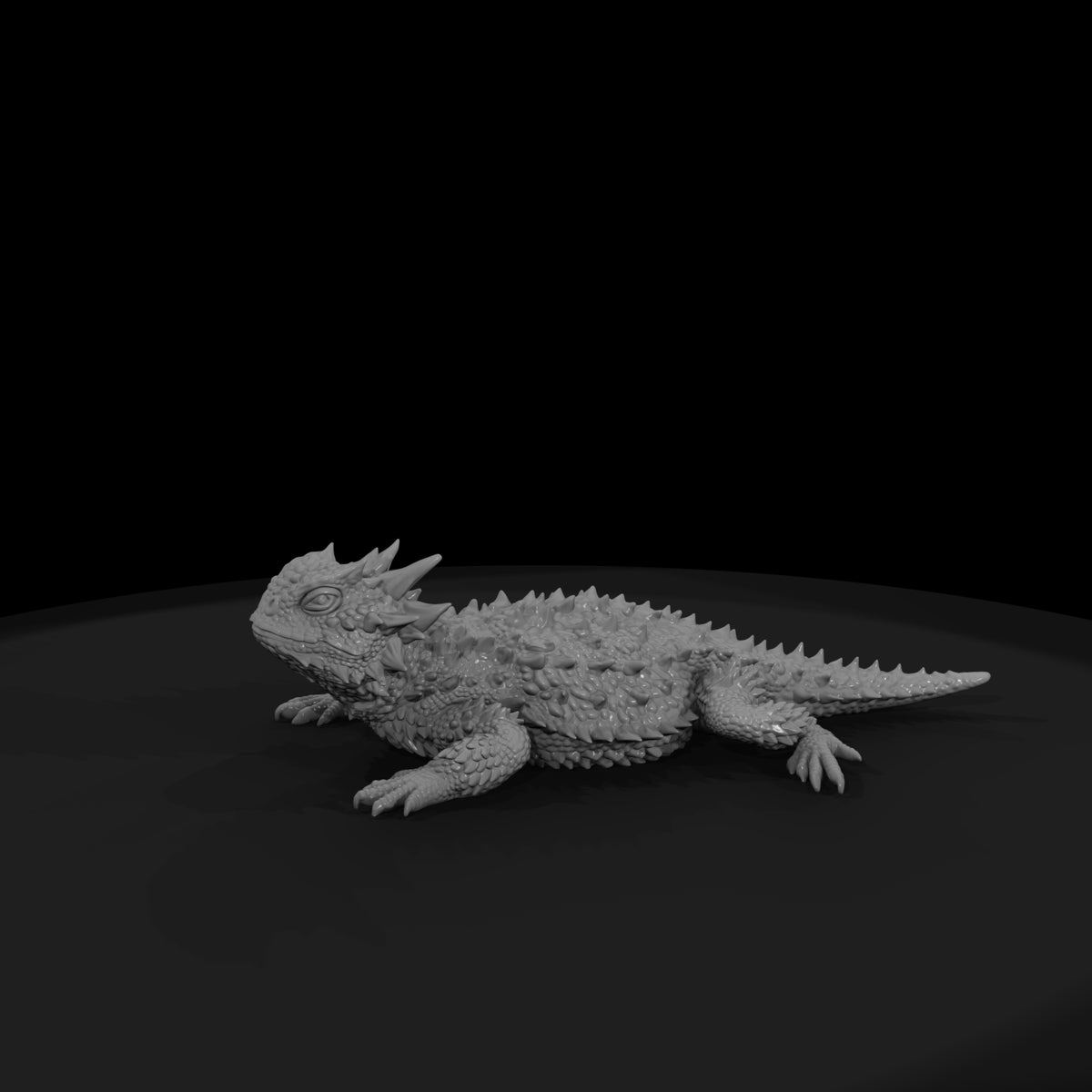 ww-0336-animal-horned-lizard