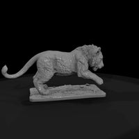 ant-003-lion-adolescent — thumbnail 4