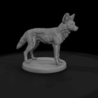 ant-166-african-wild-dog-male — thumbnail 4