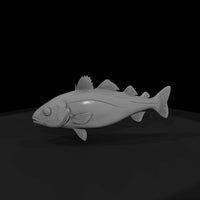 spotted-drum-fish-miniature-ho-1-87-diorama-prop-507234 — thumbnail 5