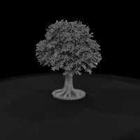 stylized-oak-tree-miniature-for-dioramas-model-trains-272826 — thumbnail 5