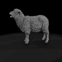 ww-0304-animal-ewe — thumbnail 4