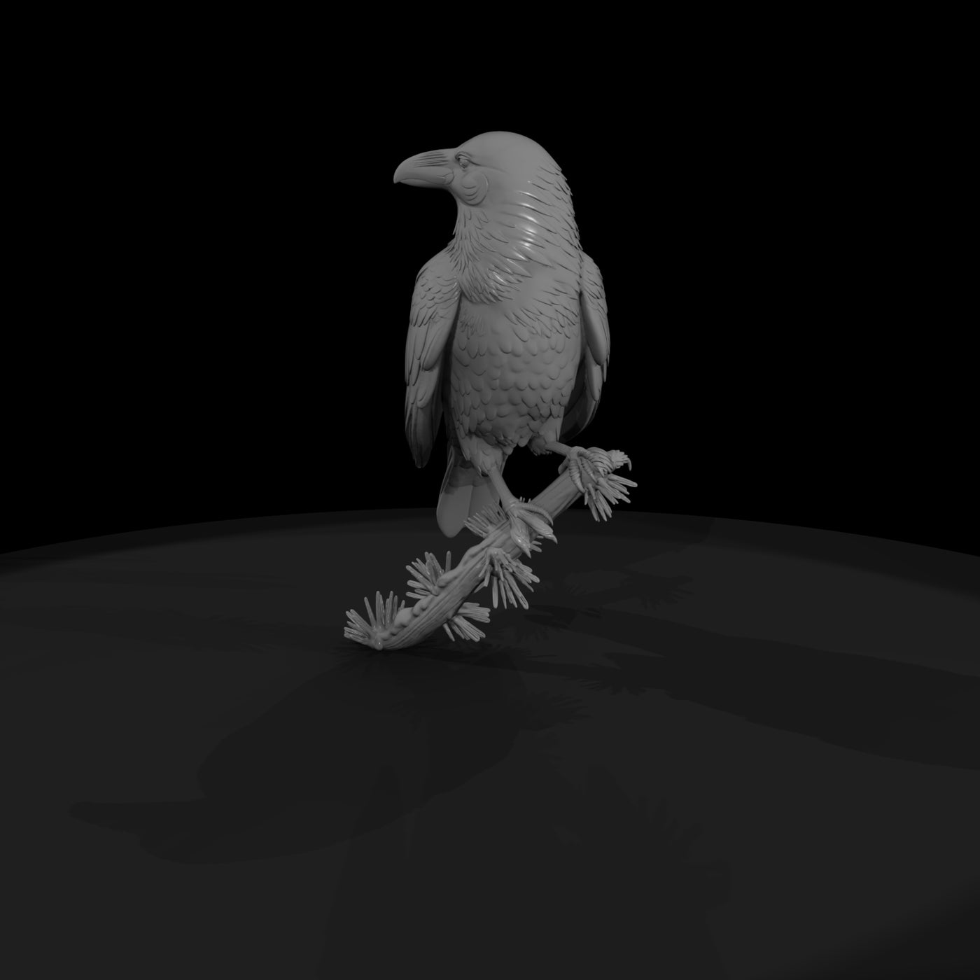 perched-raven-on-pine-branch-858575