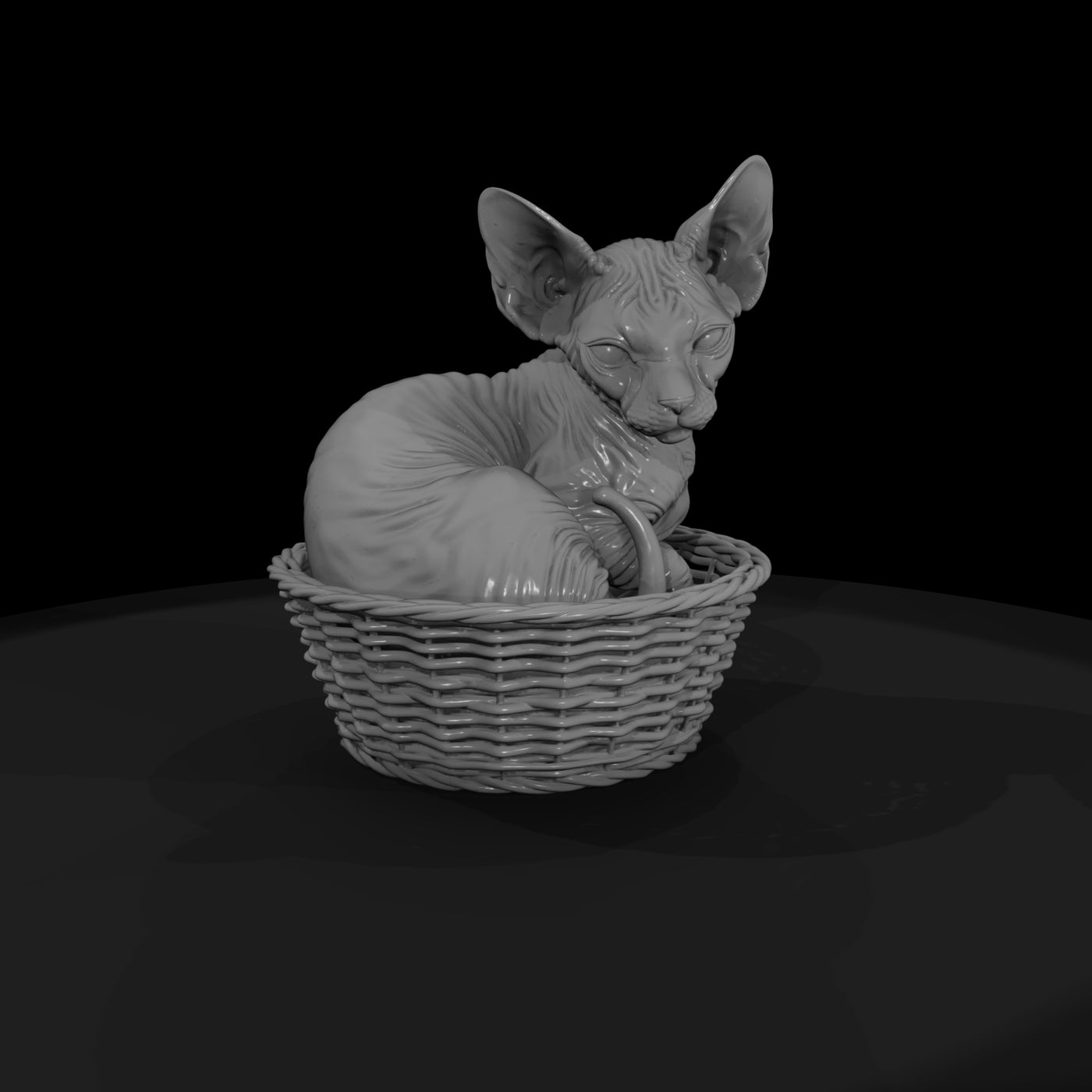 a-collection-of-housecats-sphynx-b06c75ad-meshref