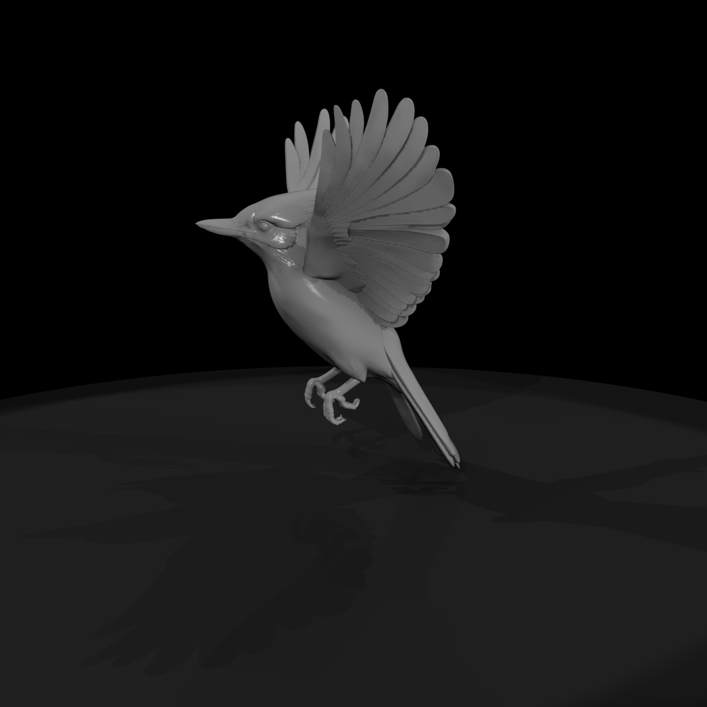 Blue Jay Perched — Bird