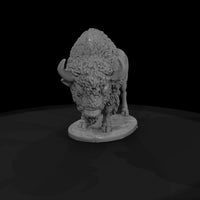 ww-0314-animal-american-bison — thumbnail 4