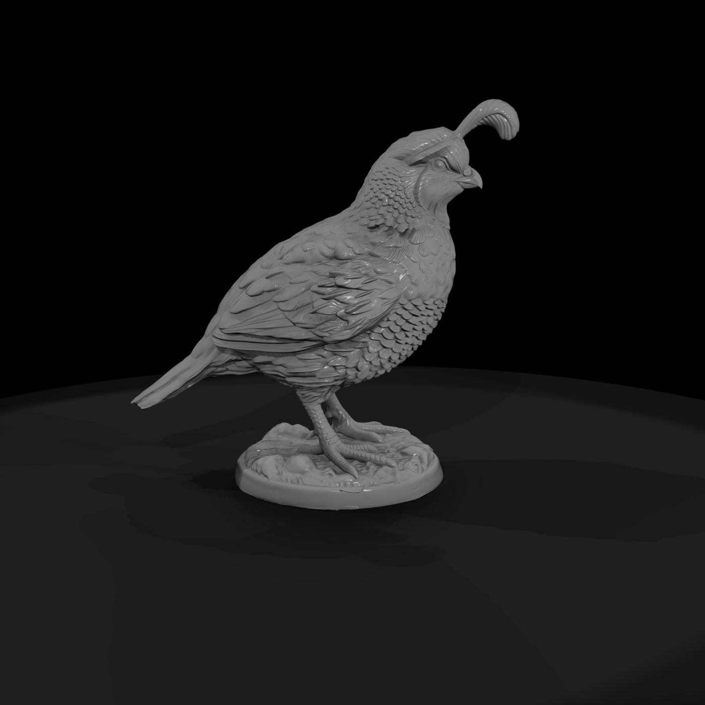 ww-0349-animal-gambel-s-quail
