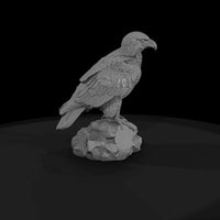 ant-117-golden-eagle-adolescent — thumbnail 4