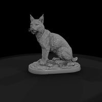 ant-161-bobcat-female — thumbnail 4