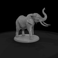 ant-022-african-elephant-male — thumbnail 4