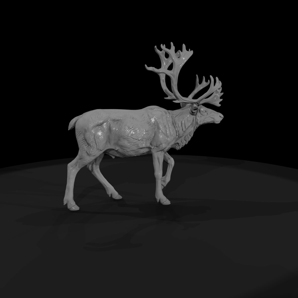 ant-061-caribou-male