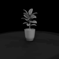 untextured-potted-rubber-plant-3d-model-gkku0lue — thumbnail 4