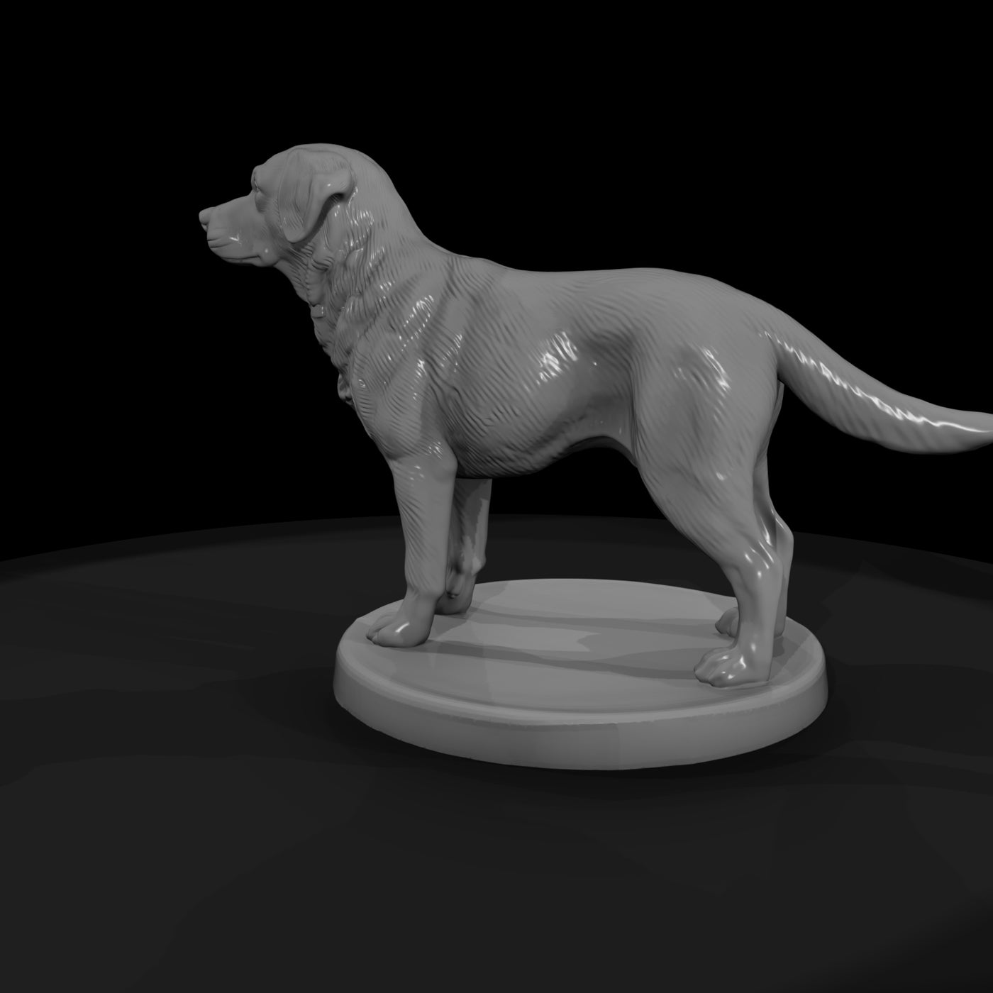 anim-01-labrador-retriever-15c005