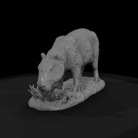 ant-257-capybara-female — thumbnail 4