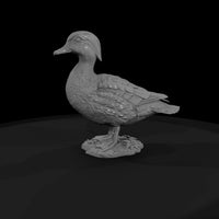 ant-092-wood-duck-female — thumbnail 4