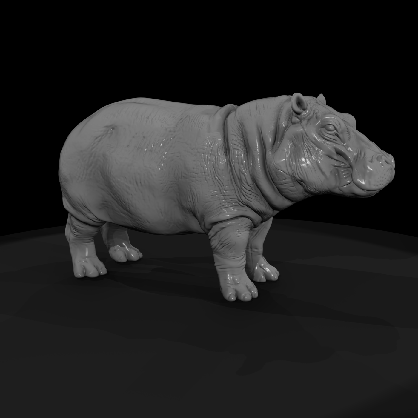 Ant 036 Hippopotamus Adolescent