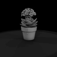 sculpted-kalanchoe-potted-succulent-miniature-3d-printable-525568 — thumbnail 5