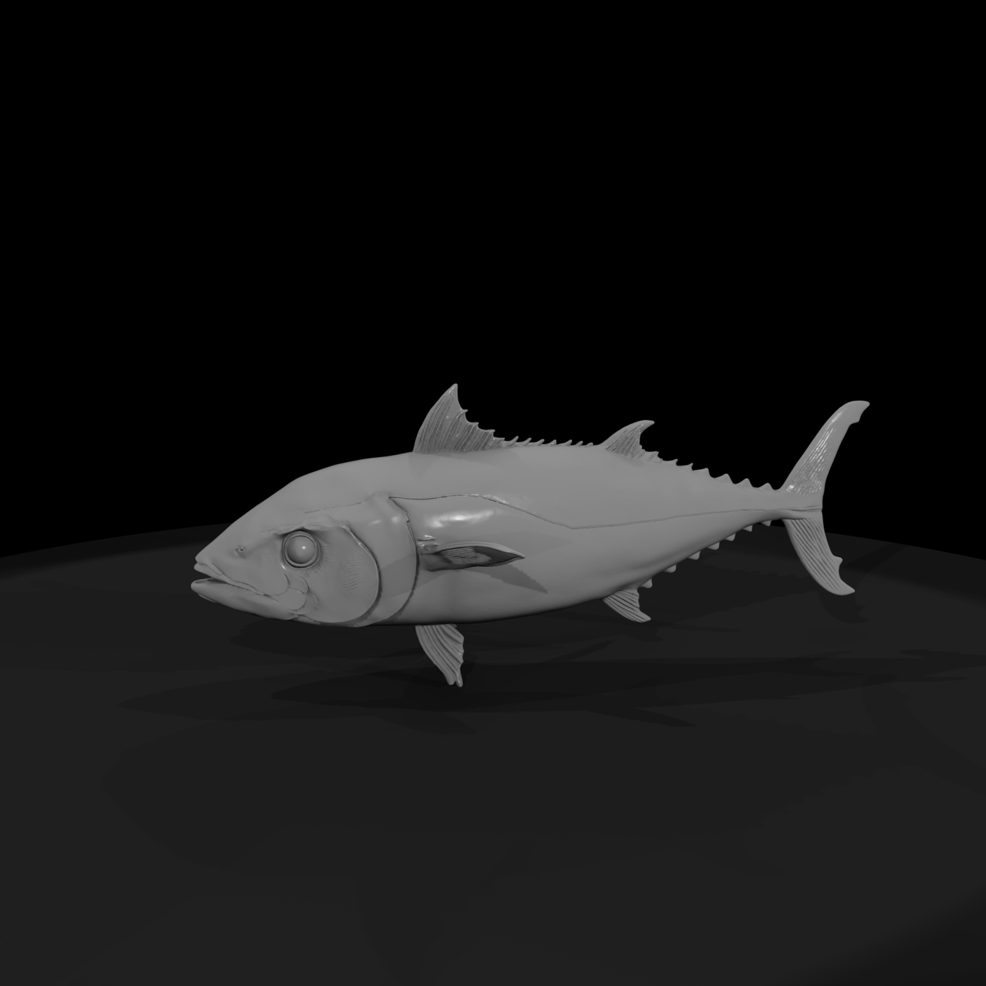 Realistic Tuna Fish & Display