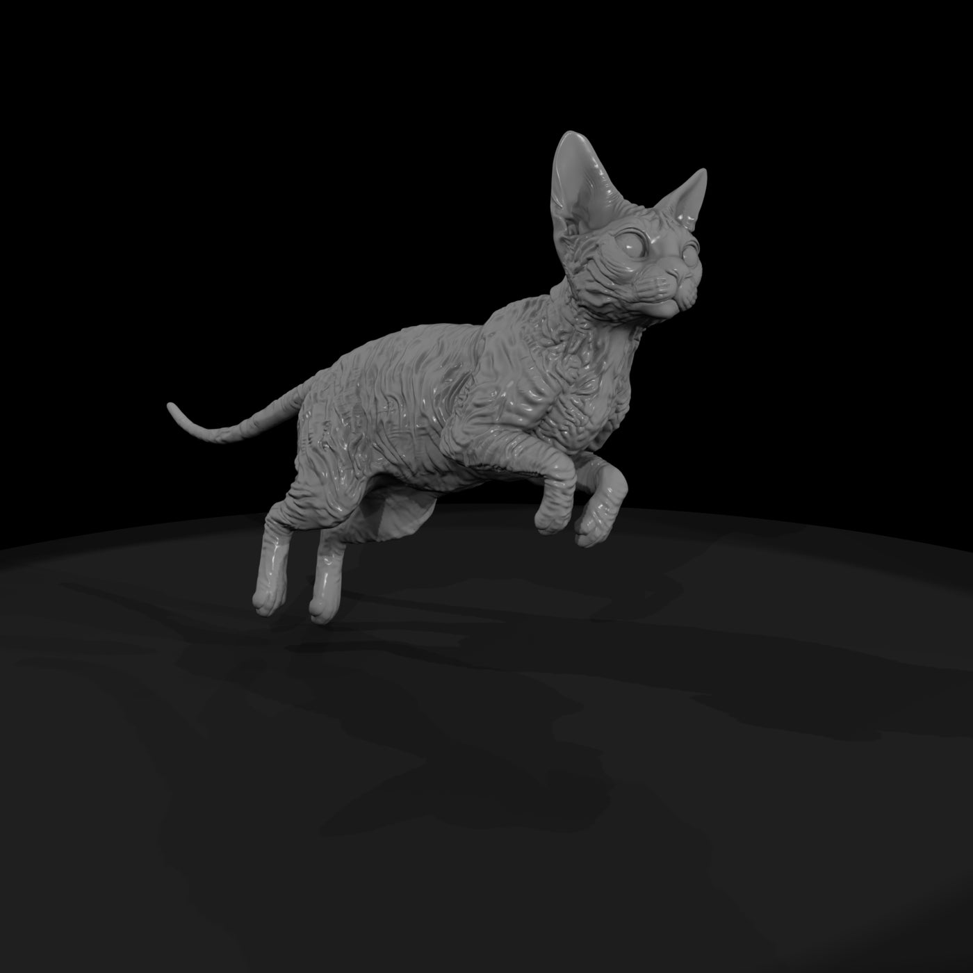 a-collection-of-housecats-cornish-1f45c53c-meshref