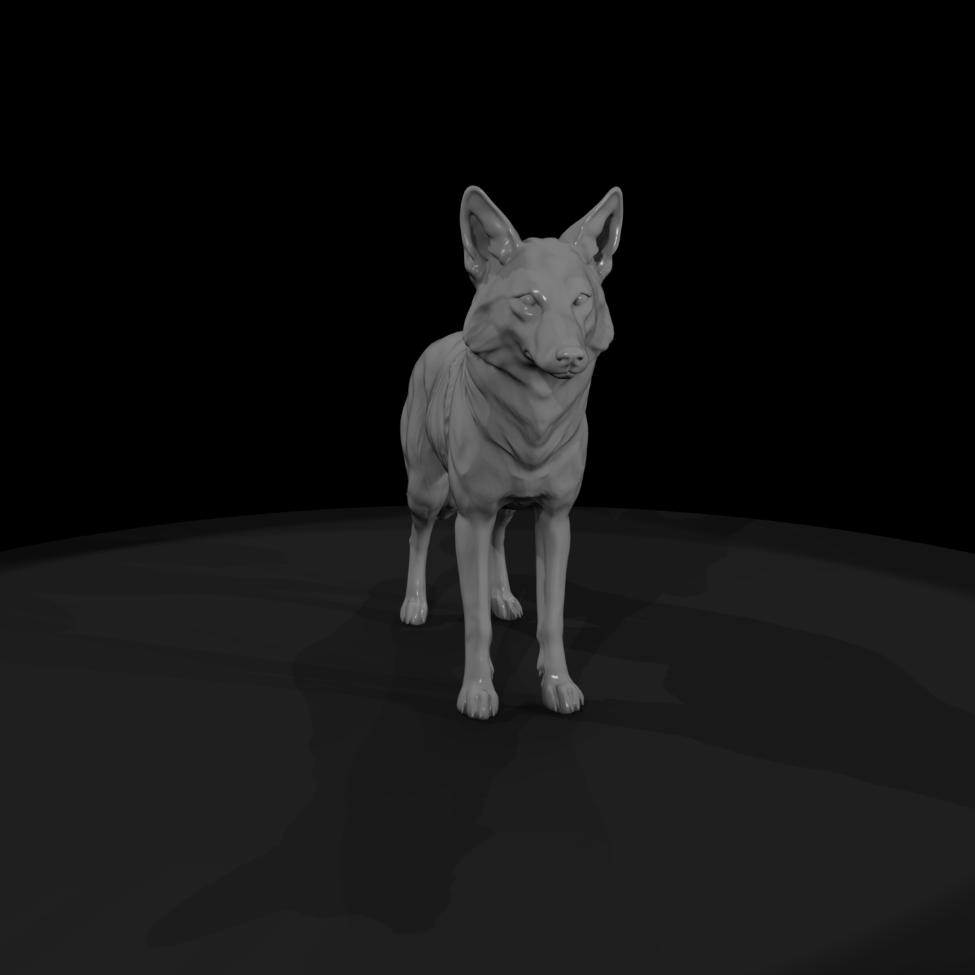 Coyote