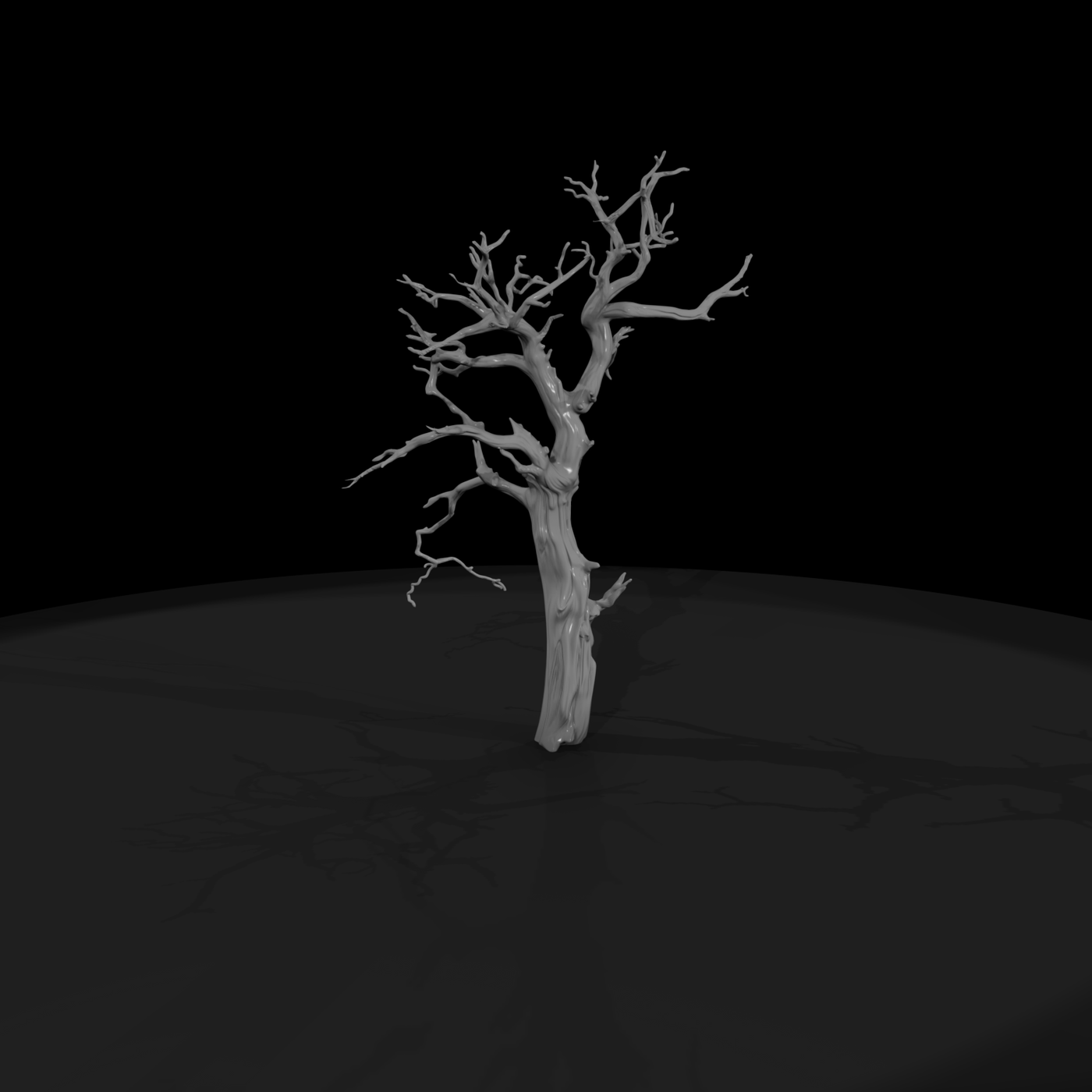 20260612 Ancient Gnarled Dead Tree D8D5631Dc7