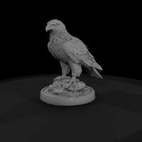 ant-116-golden-eagle-female — thumbnail 4