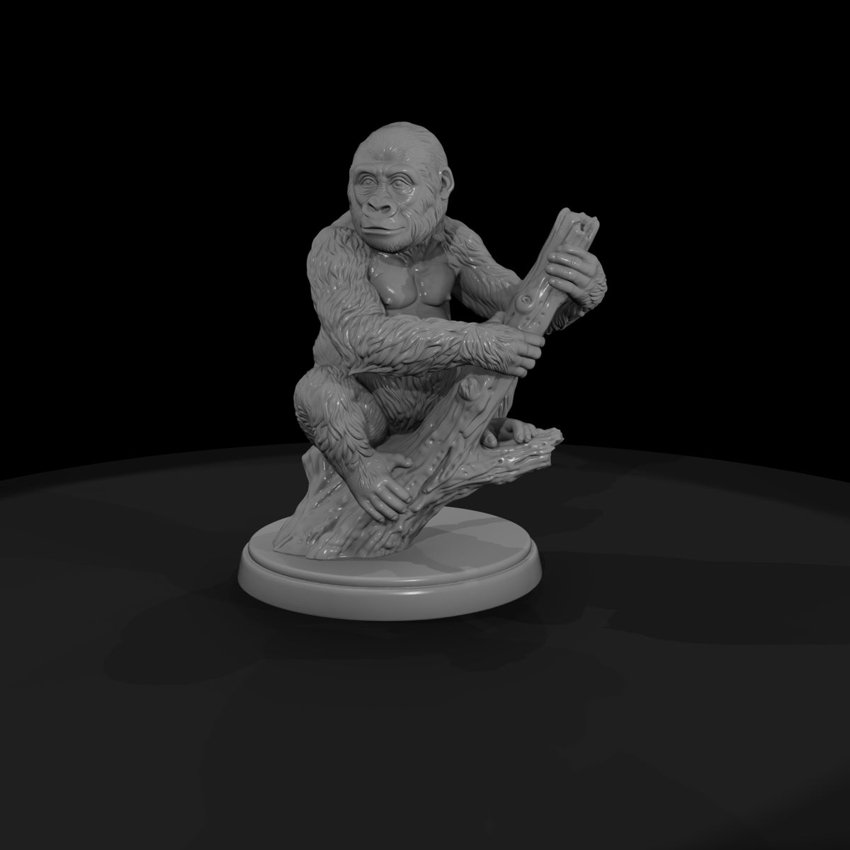ant-039-western-gorilla-adolescent