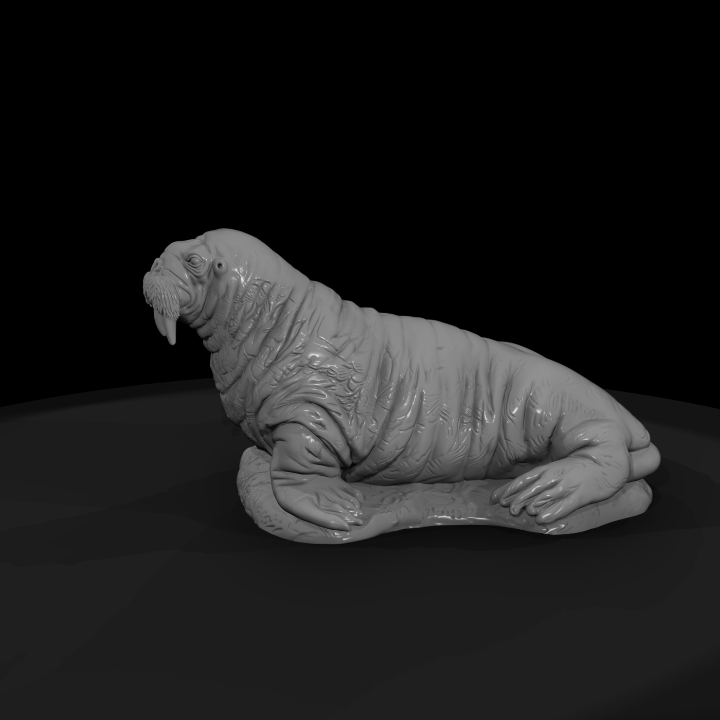 Ant 143 Walrus Female