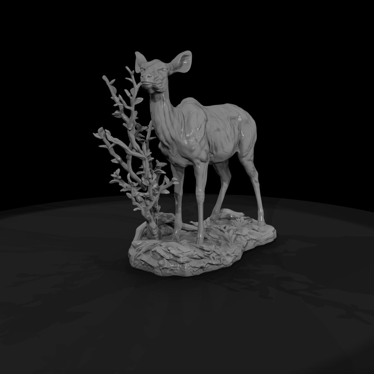ant-068-greater-kudu-female