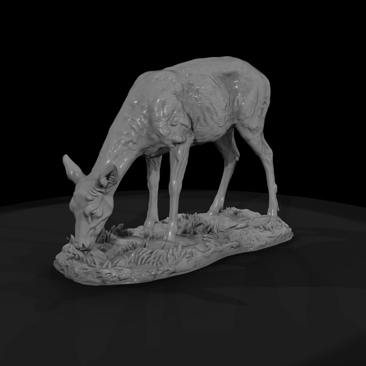 ant-071-white-tailed-deer-female