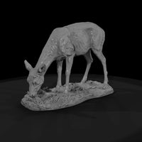 ant-071-white-tailed-deer-female — thumbnail 4