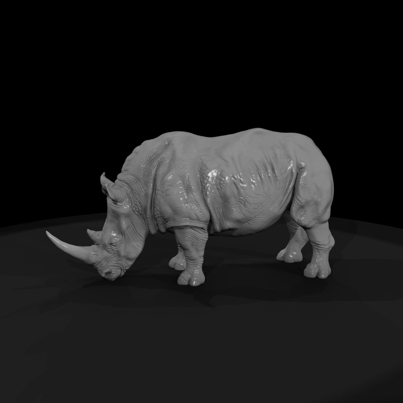 ant-031-white-rhinoceros-male