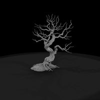 20260612-gnarled-bare-tree-drawing-6001d3929b — thumbnail 4