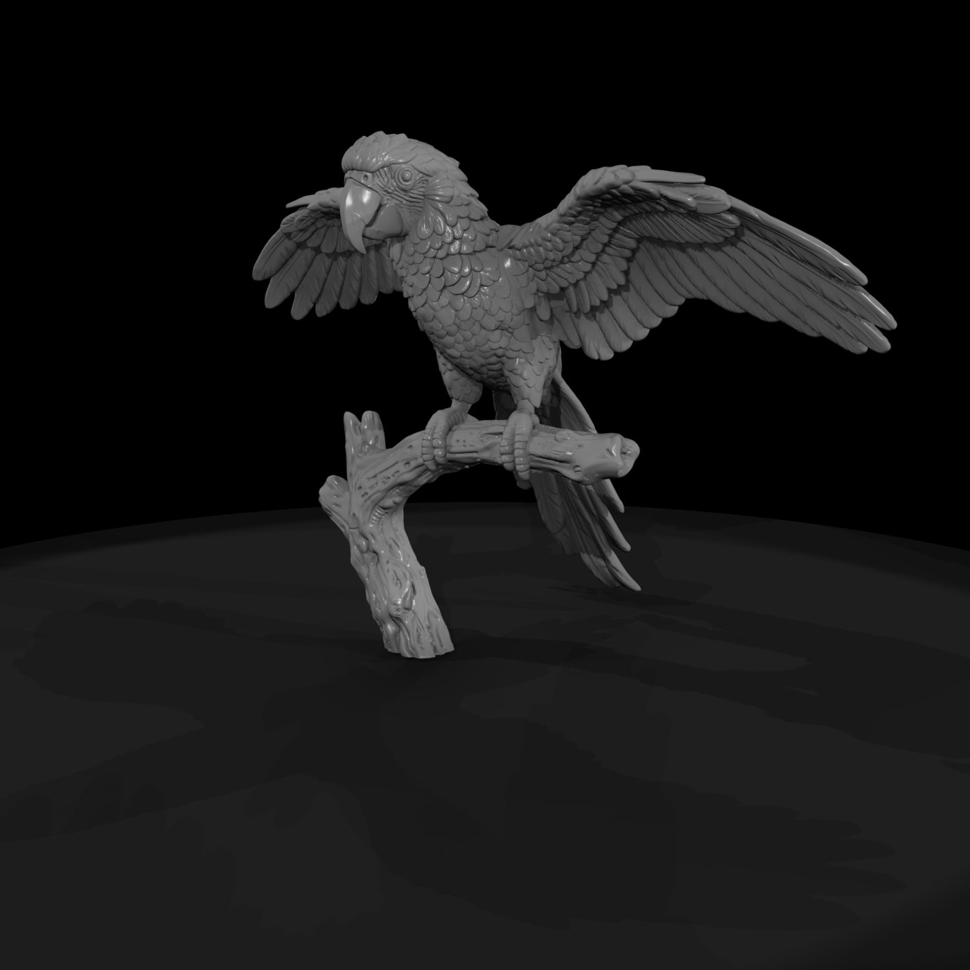 ant-283-scarlet-macaw-male