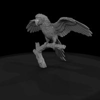 ant-283-scarlet-macaw-male — thumbnail 4