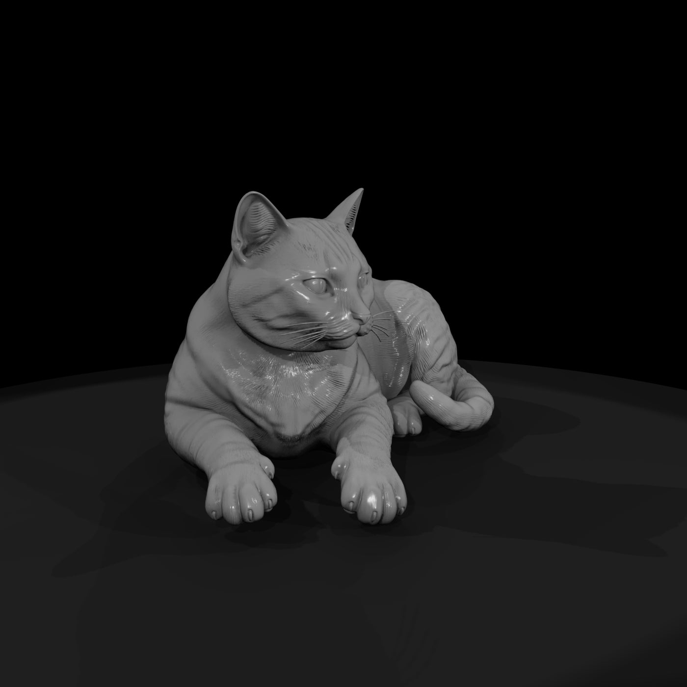 a_collection_of_housecats_polydactyl_21692ca8_meshref