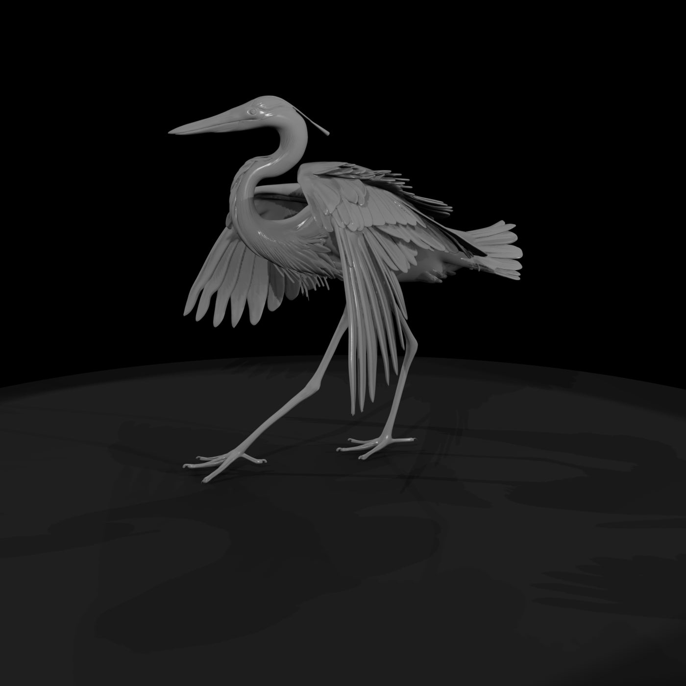 20260612-heron-spreading-wings-beach-253c412050