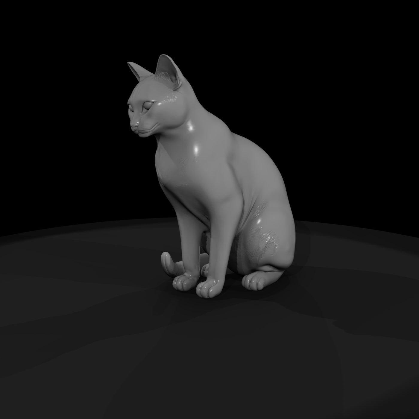 stylized_3d_sitting_house_cat_rx7729zn