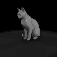 stylized_3d_sitting_house_cat_rx7729zn — thumbnail 4
