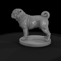 anim-12-pug-640296 — thumbnail 4