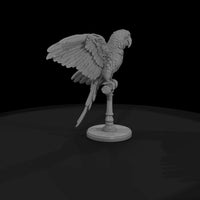 cir-130-animal-macaw-on-perch — thumbnail 4